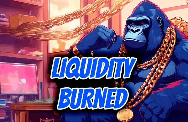 Liquidity Burned